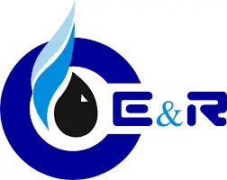 Логотип DCS компании